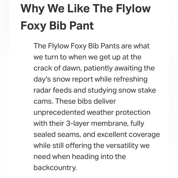 Flylow Foxy Bib Pant - Yellow - Medium - Picture 6 of 16